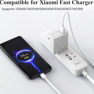 Mi 120W SonicCharge 3.0 USB Type-C Charge